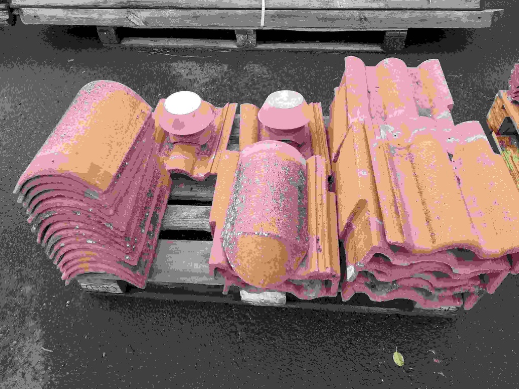 Tuile Monier à lanterne