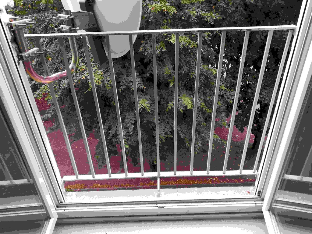 Garde-corps métallique (pour porte-fenêtre)