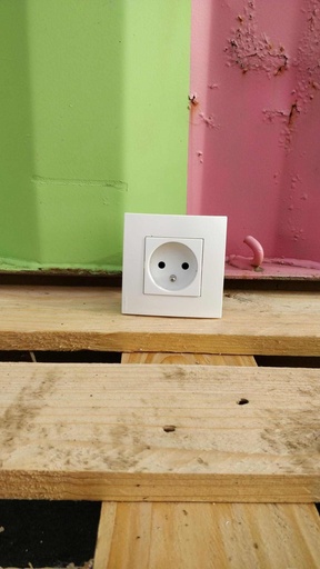 [#811] Prise simple avec terre